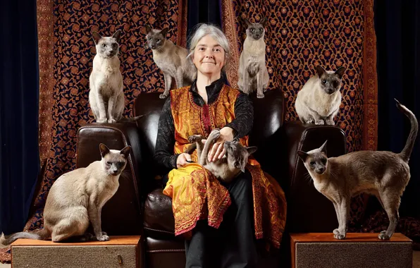 Взгляд, кошки, лицо, улыбка, фон, милая, женщина, коты