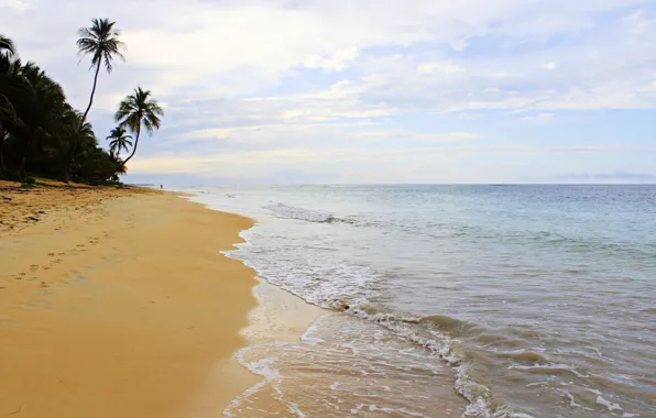 Картинка песок, пальмы, океан, прибой, Доминикана, доминиканская республика