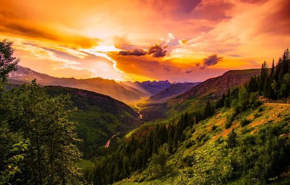 Лес, небо, облака, закат, горы, Монтана, США, Montana