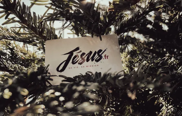 Love, Tree, Holiday, Christmas Tree, God, Christmas Eve, Jesus, Jametlene Reskp