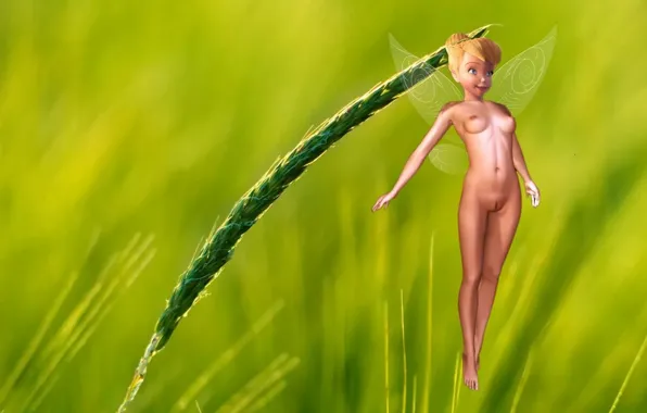 Голая, фея, колосок, летает, Динь-Динь, Tinker Bell, мультпринцесса