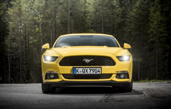 Купе, Mustang, Ford, мустанг, форд, 2015, EU-spec