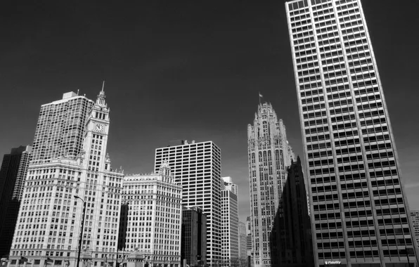Небоскребы, черно белое, чикаго, Chicago