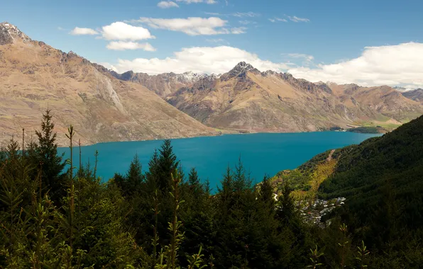 Облака, деревья, горы, озеро, Новая Зеландия, панорама, леса, Wakatipu