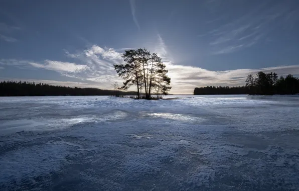 Картинка зима, небо, деревья, лёд, островок, Финляндия, Finland, Озеро Кариярви