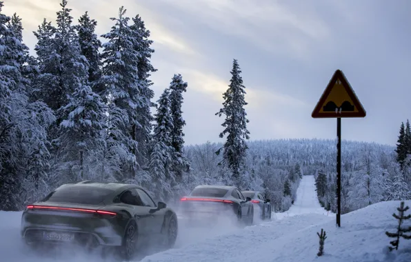 Картинка дорога, лес, снег, знак, Porsche, 2020, Taycan, Taycan 4S