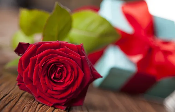 Роза, red, love, rose, romantic, gift, valentine`s day