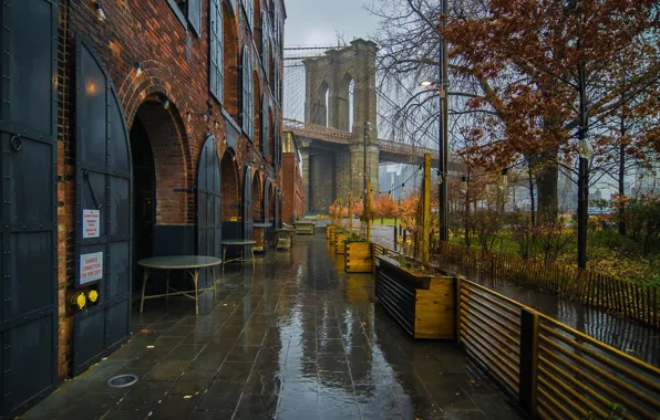 Картинка осень, мост, дождь, дерево, Нью-Йорк, кафе, Бруклинский мост, New York City