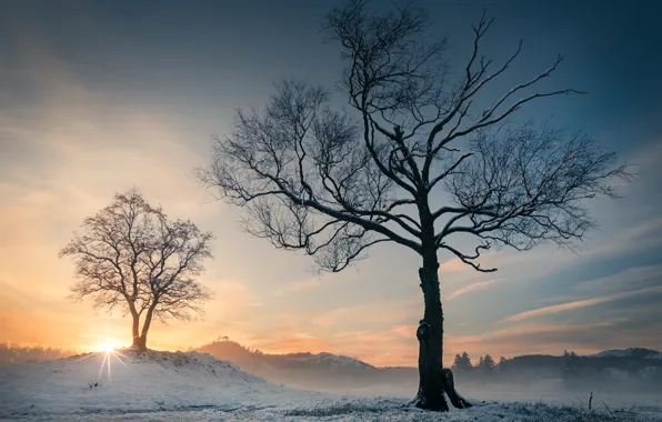 Зима, деревья, закат, Норвегия