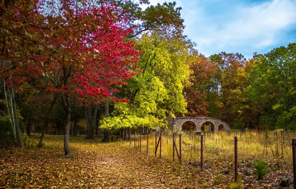 Картинка Осень, Деревья, Тропа, Парк, Fall, Bridge, Park, Autumn