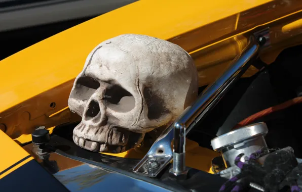 Авто, двигатель, череп, голова, тачка, skull, движок, auto