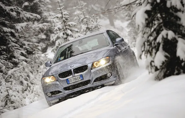 Снег, палки, BMW, ёлки, Touring, 320d