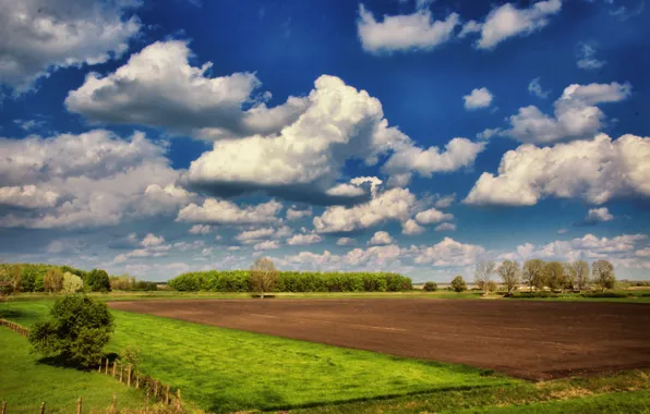 Поле, небо, облака, природа, Nature, sky, trees, landscape