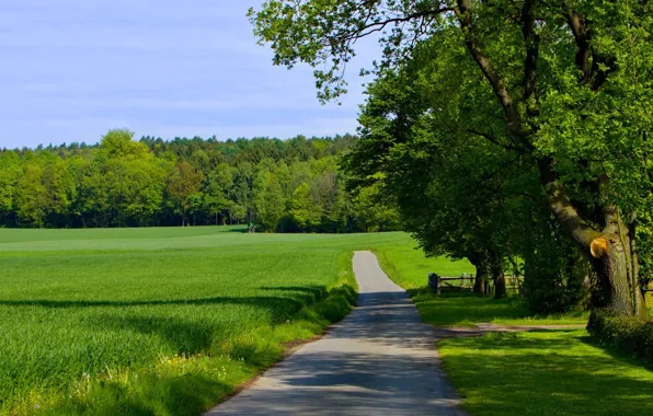 Природа, Дорога, Красота