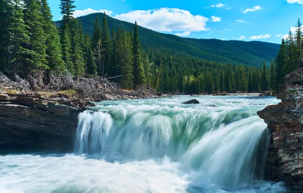 Лес, лето, небо, вода, облака, горы, природа, река