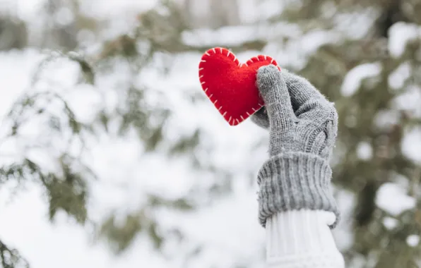 Зима, снег, любовь, сердце, елка, red, love, heart