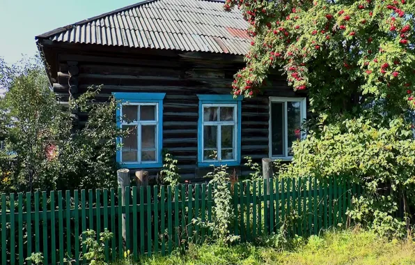 Лето, деревня, Домик, рябина, АСИНО, ТОМСК