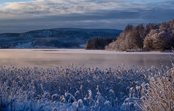Картинка зима, природа, озеро