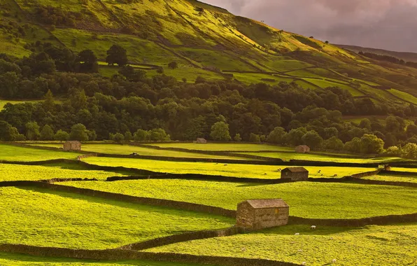 Поле, пейзаж, горы, дома