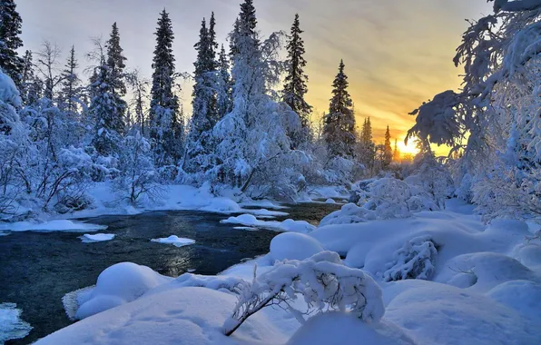 Картинка зима, лес, небо, снег, деревья, природа, река, ель