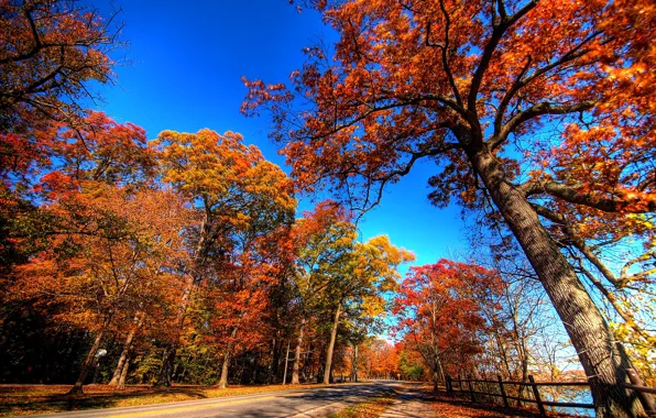 Картинка дорога, осень, небо, листья, деревья, пейзаж