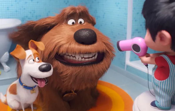 Животные, собаки, малышка, фен, Тайная жизнь домашних животных 2, The Secret Life of Pets 2