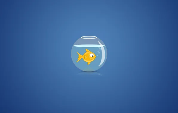 Картинка вода, пузыри, фон, аквариум, золотая рыбка