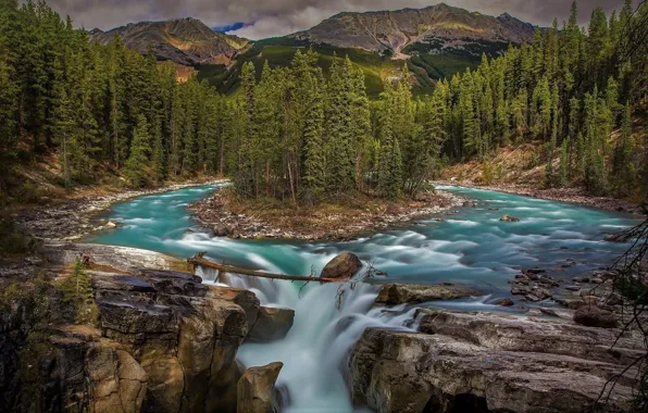 ЛЕС, ВОДА, ГОРЫ, ЗЕЛЕНЬ, ХВОЯ, ТЕЧЕНИЕ, РЕКА, ДЕРЕВЬЯ