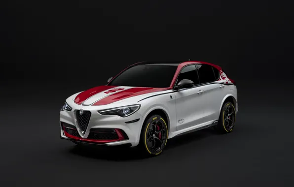 Тюнинг, Alfa Romeo, Racing, 2019-20, Stelvio Quadrifoglio