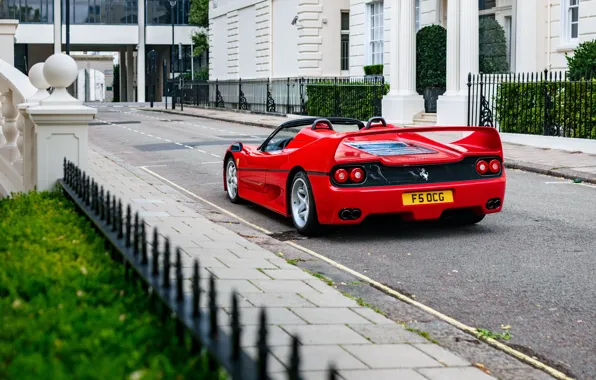 Картинка Ferrari, legend, F50, rear view, Ferrari F50