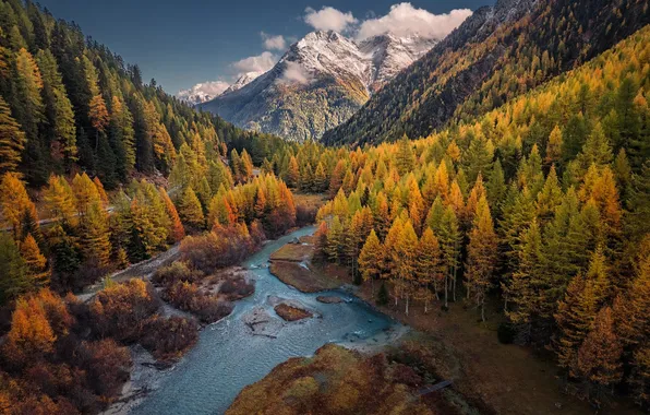 Картинка осень, лес, горы, река, берег, высота