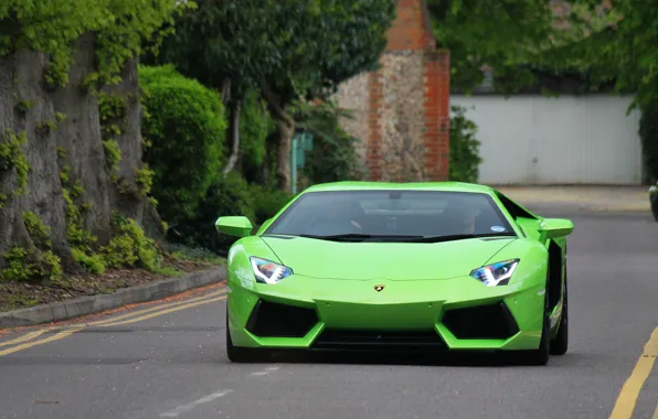 Картинка дорога, деревья, разметка, green, lamborghini, вид спереди, aventador, ламборгини