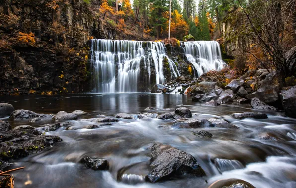 Осень, лес, деревья, ручей, камни, скалы, водопад, California