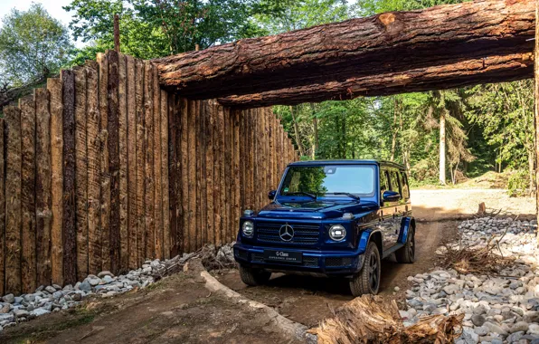 Синий, Mercedes-Benz, внедорожник, брёвна, 4x4, G-Class, 2019