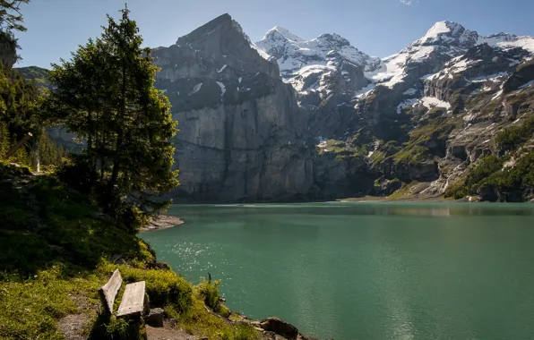 Картинка деревья, горы, скамейка, озеро, Швейцария, Switzerland