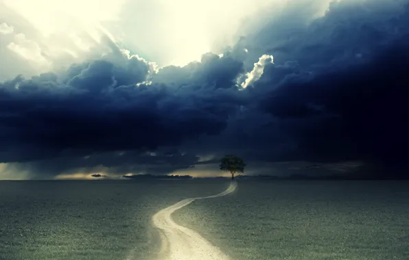 Картинка дорога, облака, дерево