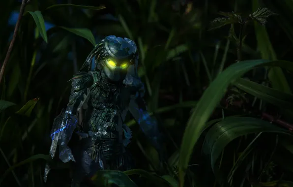 Трава, ночь, игрушка, хищник, статуэтка, Predator, тварь