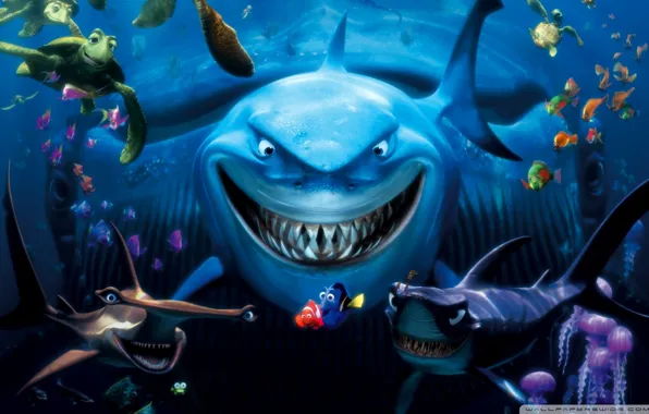 Cartoon, film, nemo
