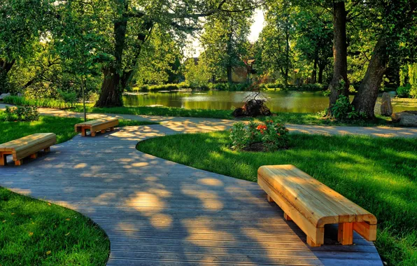 Road, park, bench