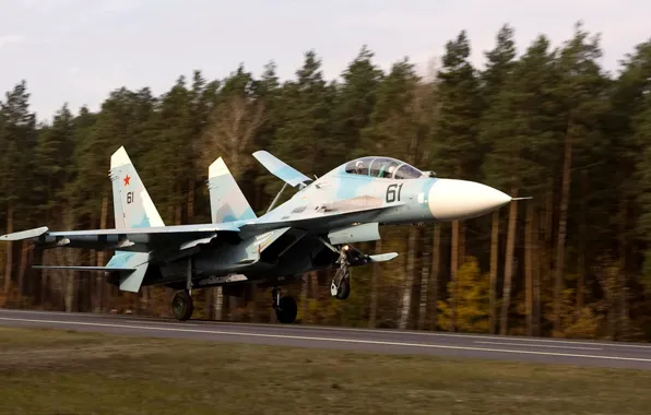 Посадка, Су-27УБ, Flanker-С, двухместный учебно-боевой истребитель, ввс белоруссии