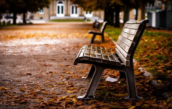 Картинка осень, листья, скамейка, пасмурно, лавочка