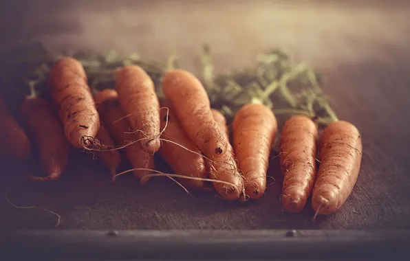 Еда, овощи, морковь