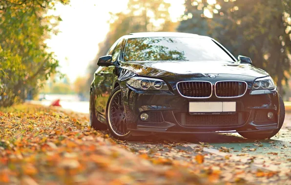 Осень, листья, тюнинг, BMW, БМВ, F10, 550, Drive