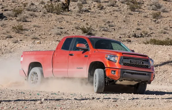 Toyota, Double, TRD, Tundra