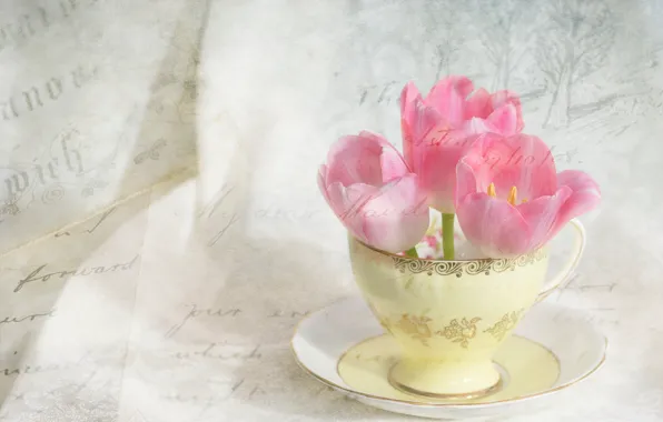 Картинка цветы, чашка, тюльпаны, розовые, винтаж, блюдце, письма