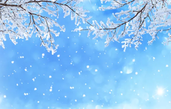 Картинка зима, небо, снег, снежинки, ветки, блики, голубое