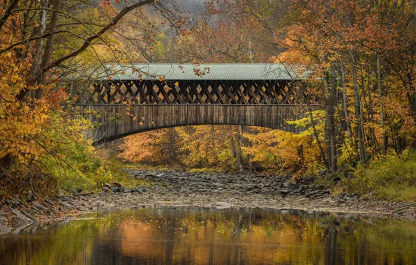 Осень, деревья, мост, река, Blenheim, State of New York