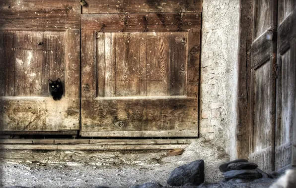 Картинка кошка, дом, дверь