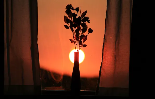 Картинка закат, цветы, окно