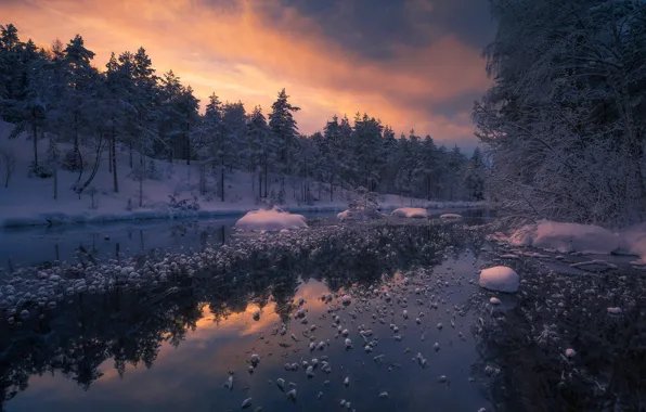 Картинка зима, лес, река, Норвегия, Ringerike, Ole Henrik Skjelstad